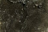 Septarian Dragon Egg Geode - Black Crystals #172806-3